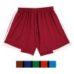 Fremont Shorts