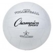 Champion Rubber Volleyball